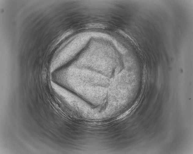 X0000085781401200704131817