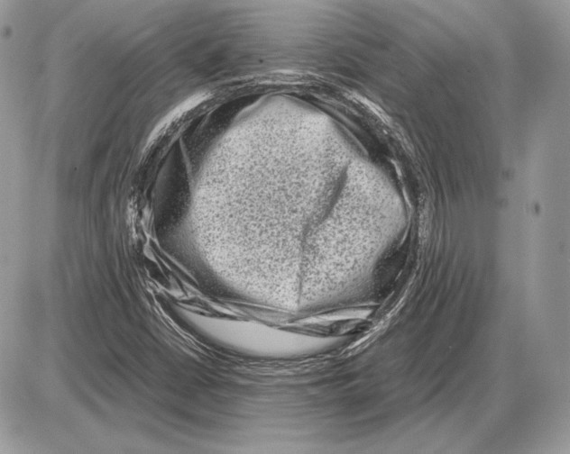 X0000085781402200704131817