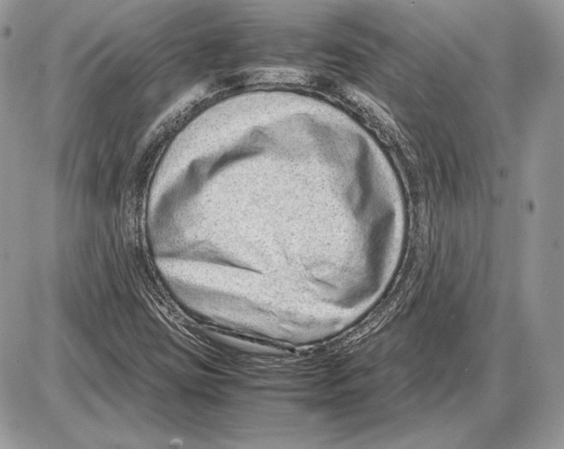 X0000085781403200704131817