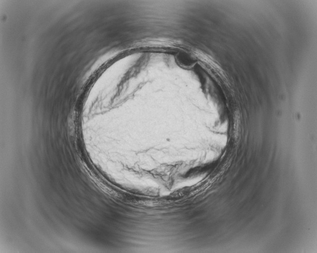 X0000085781404200704131817