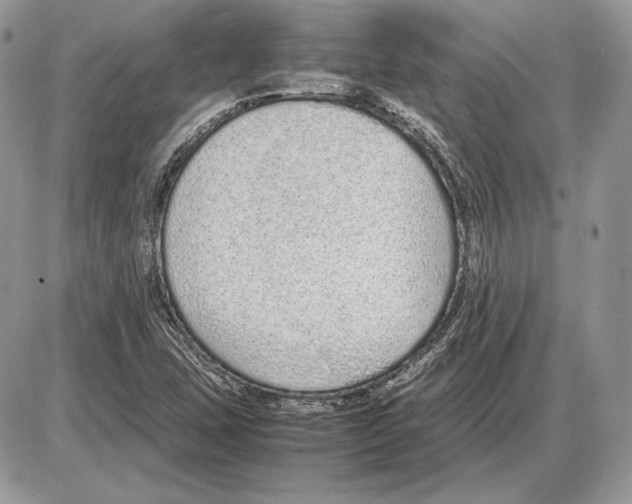 X0000085781407200704131817