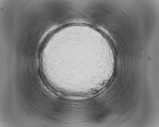 X0000085781408200704131817