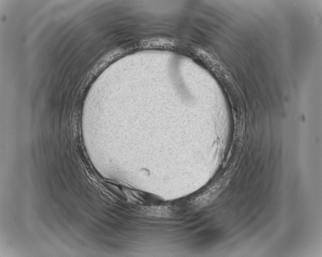 X0000085781409200704131817