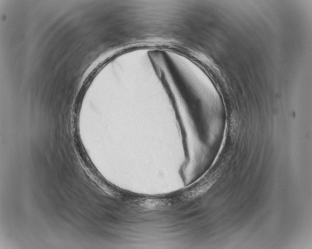 X0000085781412200704131817