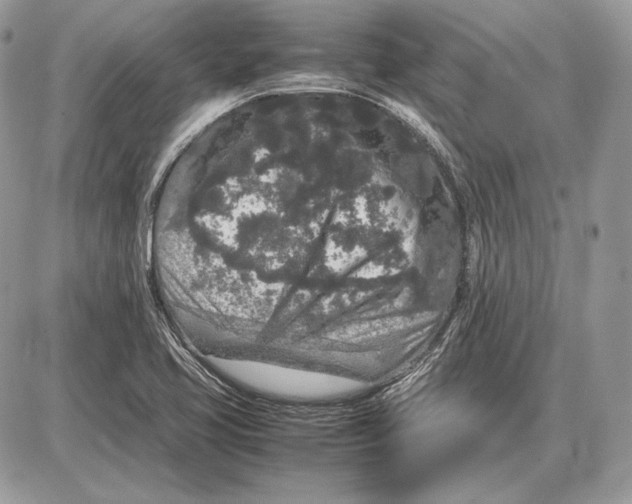 X0000085781413200704131817