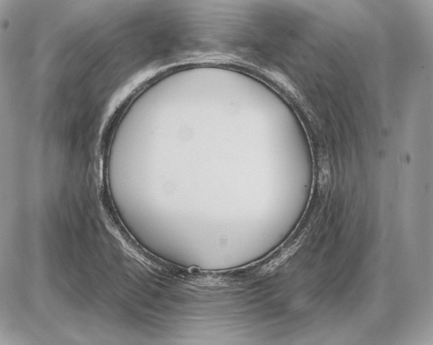 X0000085781414200704131817