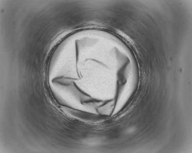 X0000085781415200704131817