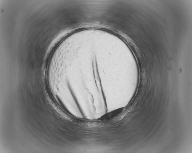 X0000085781416200704131817