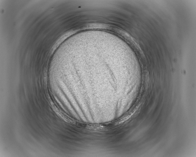 X0000085781417200704131817