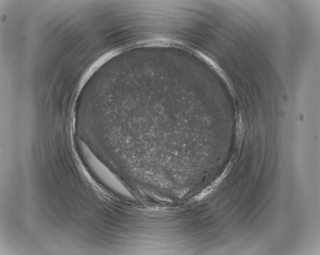 X0000085781418200704131817