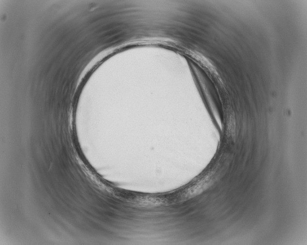 X0000085781420200704131817