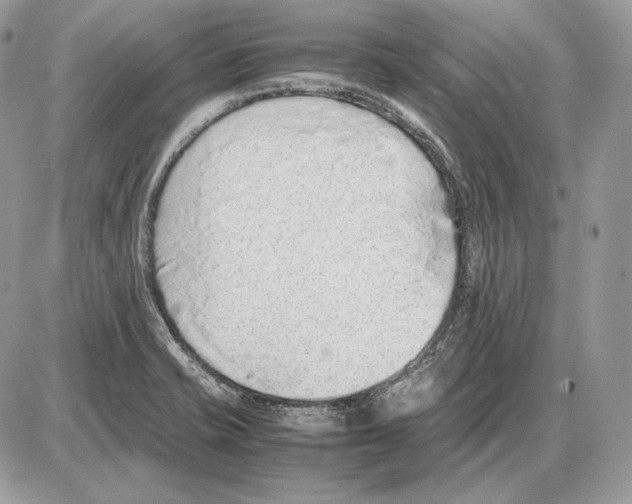 X0000085781421200704131817