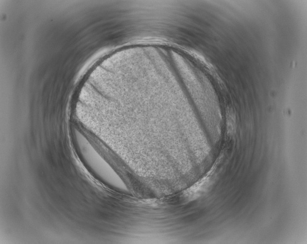 X0000085781422200704131817