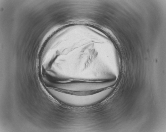 X0000085781424200704131817