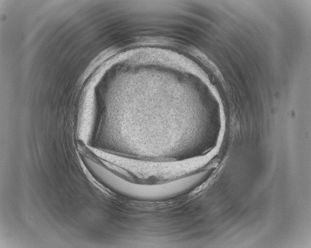 X0000085781425200704131817