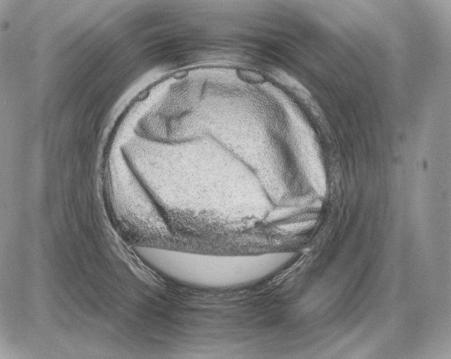 X0000085781427200704131817