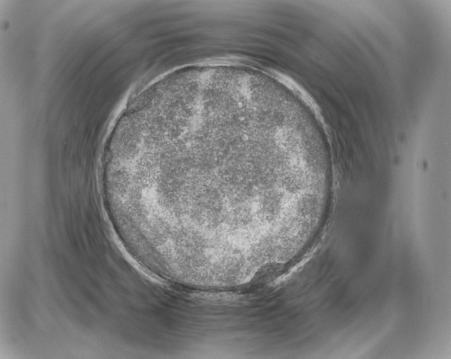 X0000085781429200704131817