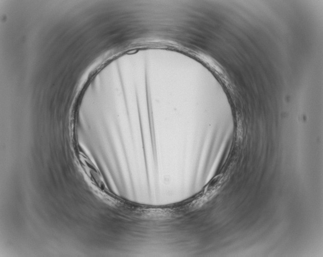 X0000085781430200704131817