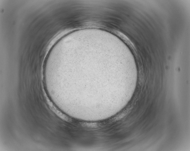 X0000085781431200704131817