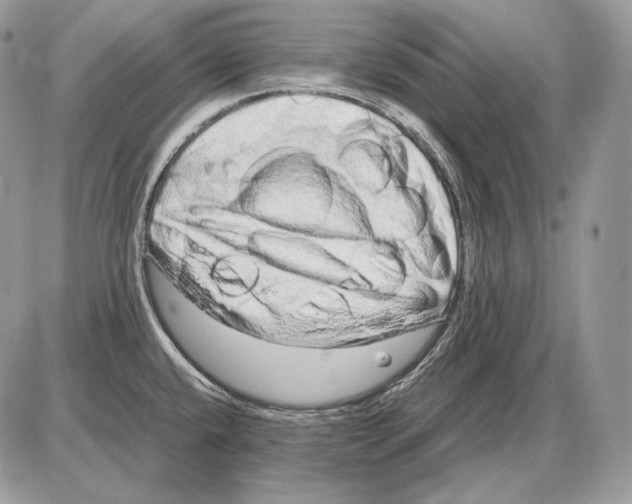 X0000085781432200704131817