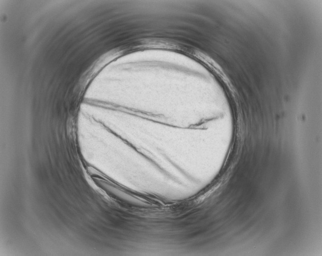 X0000085781433200704131817