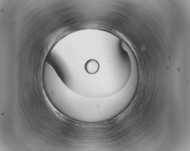 X0000085781434200704131817