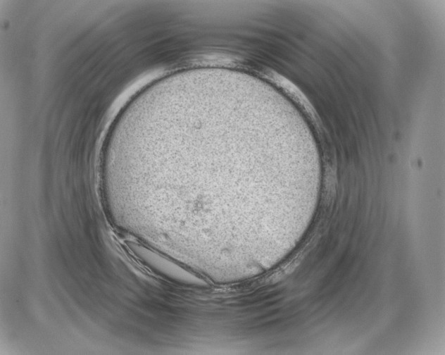 X0000085781435200704131817