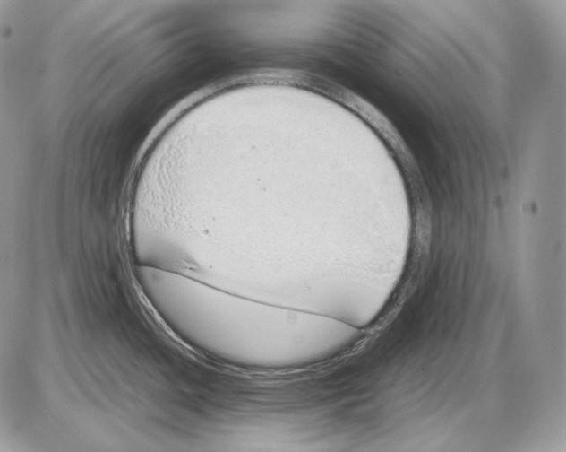 X0000085781436200704131817