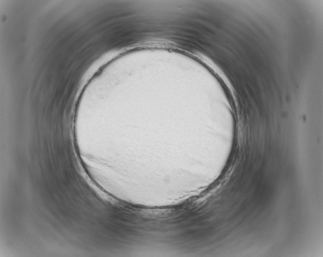 X0000085781437200704131817