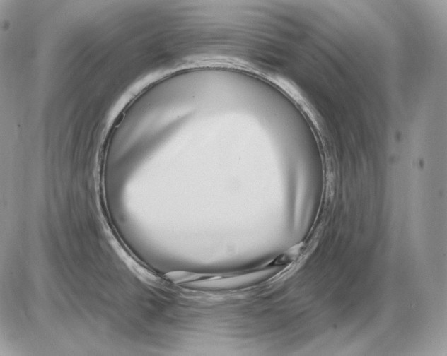 X0000085781438200704131818