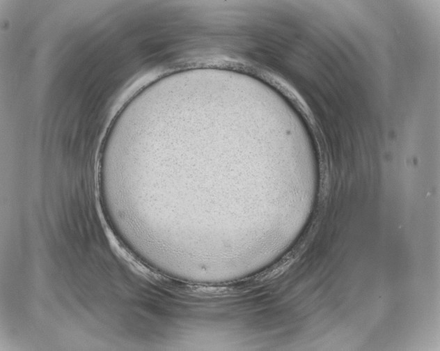 X0000085781439200704131818