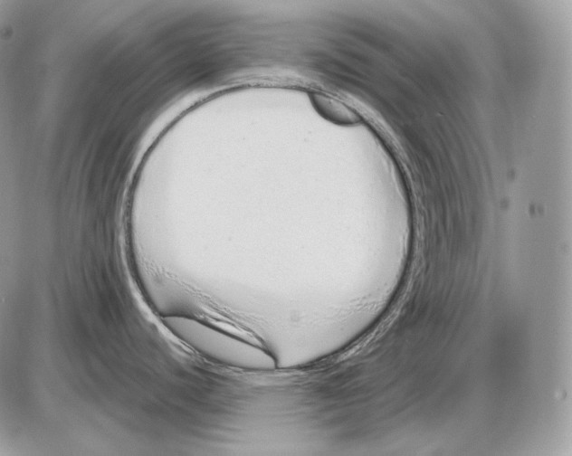 X0000085781440200704131818