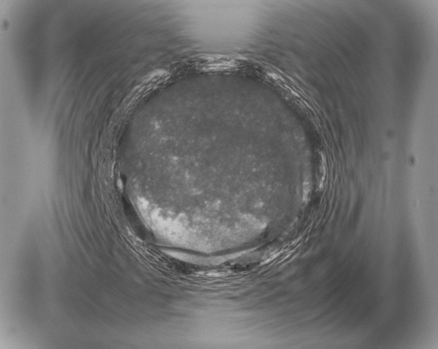 X0000085781441200704131817