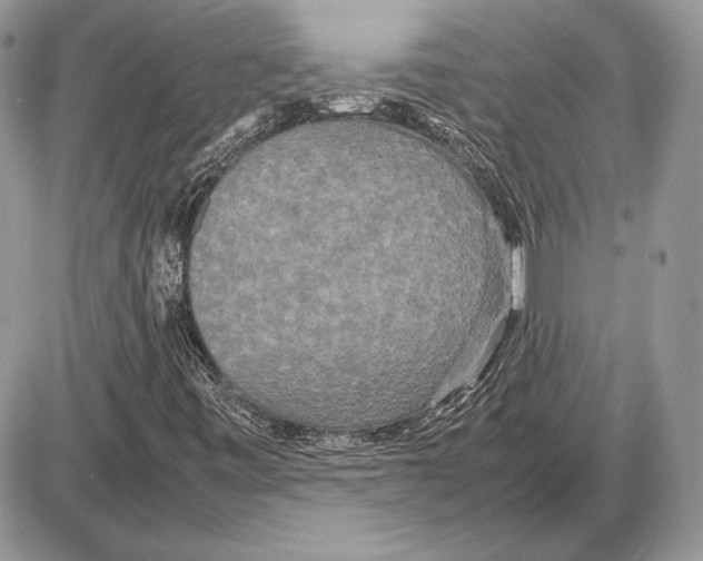 X0000085781443200704131817