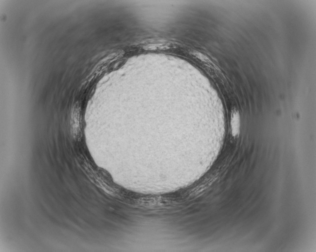 X0000085781444200704131817