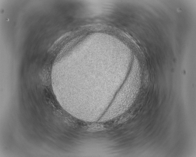 X0000085781446200704131817