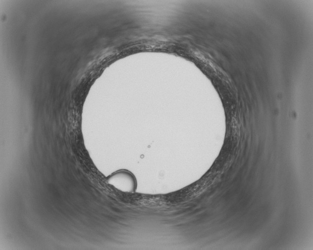 X0000085781447200704131817