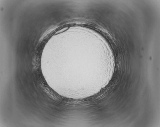 X0000085781448200704131817