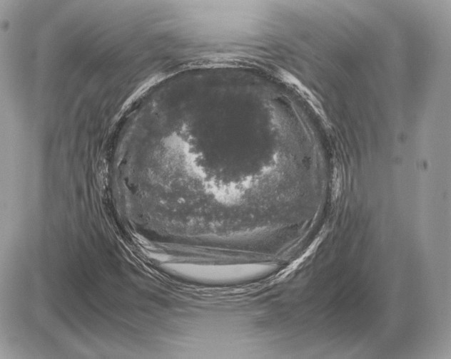 X0000085781449200704131817