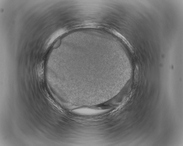 X0000085781450200704131817