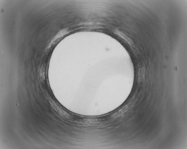 X0000085781451200704131817