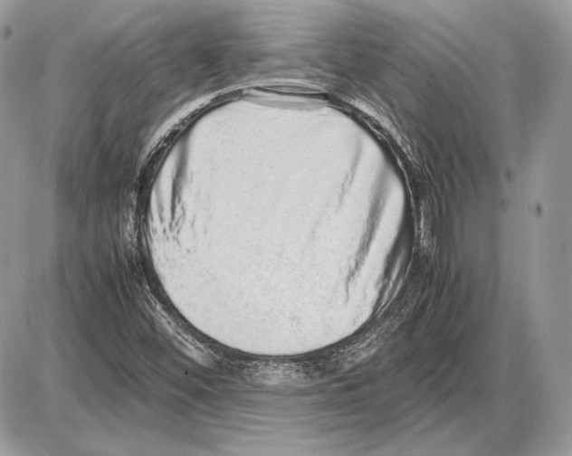 X0000085781452200704131817