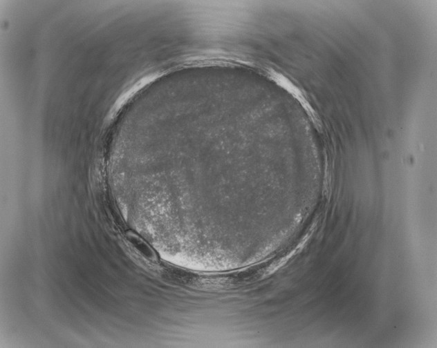 X0000085781453200704131817