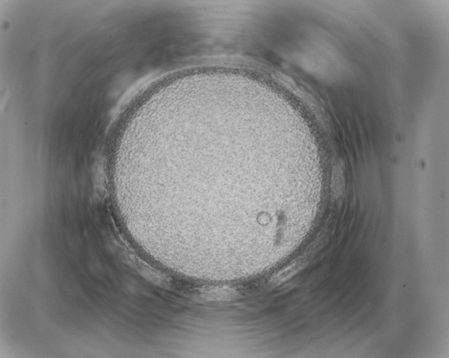 X0000085781454200704131817