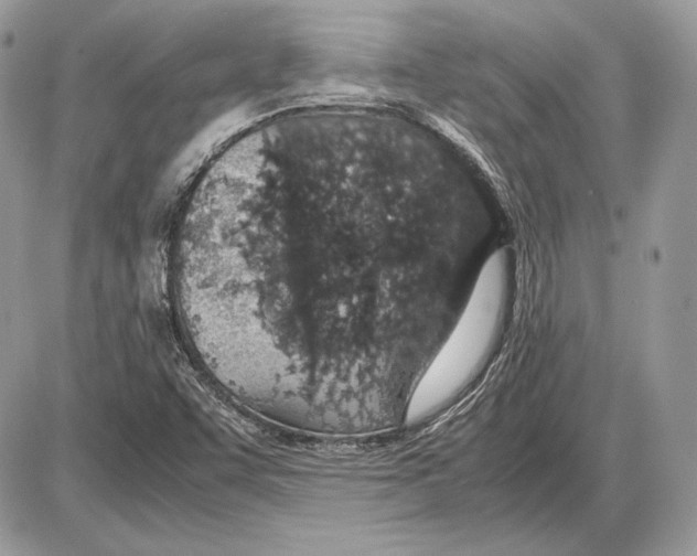 X0000085781455200704131817