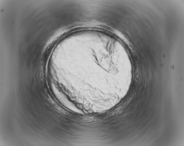 X0000085781456200704131817