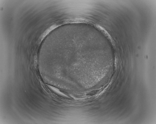 X0000085781457200704131816