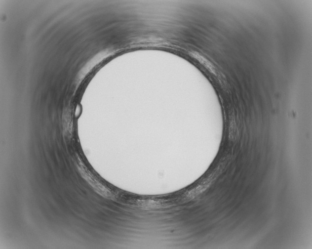 X0000085781458200704131816