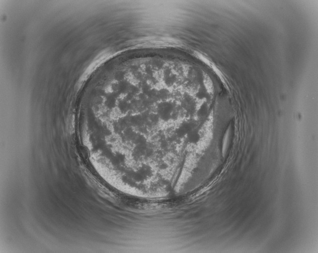 X0000085781459200704131816