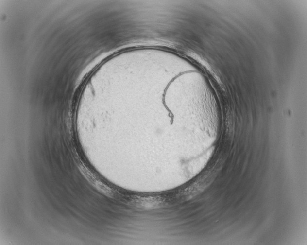 X0000085781460200704131816